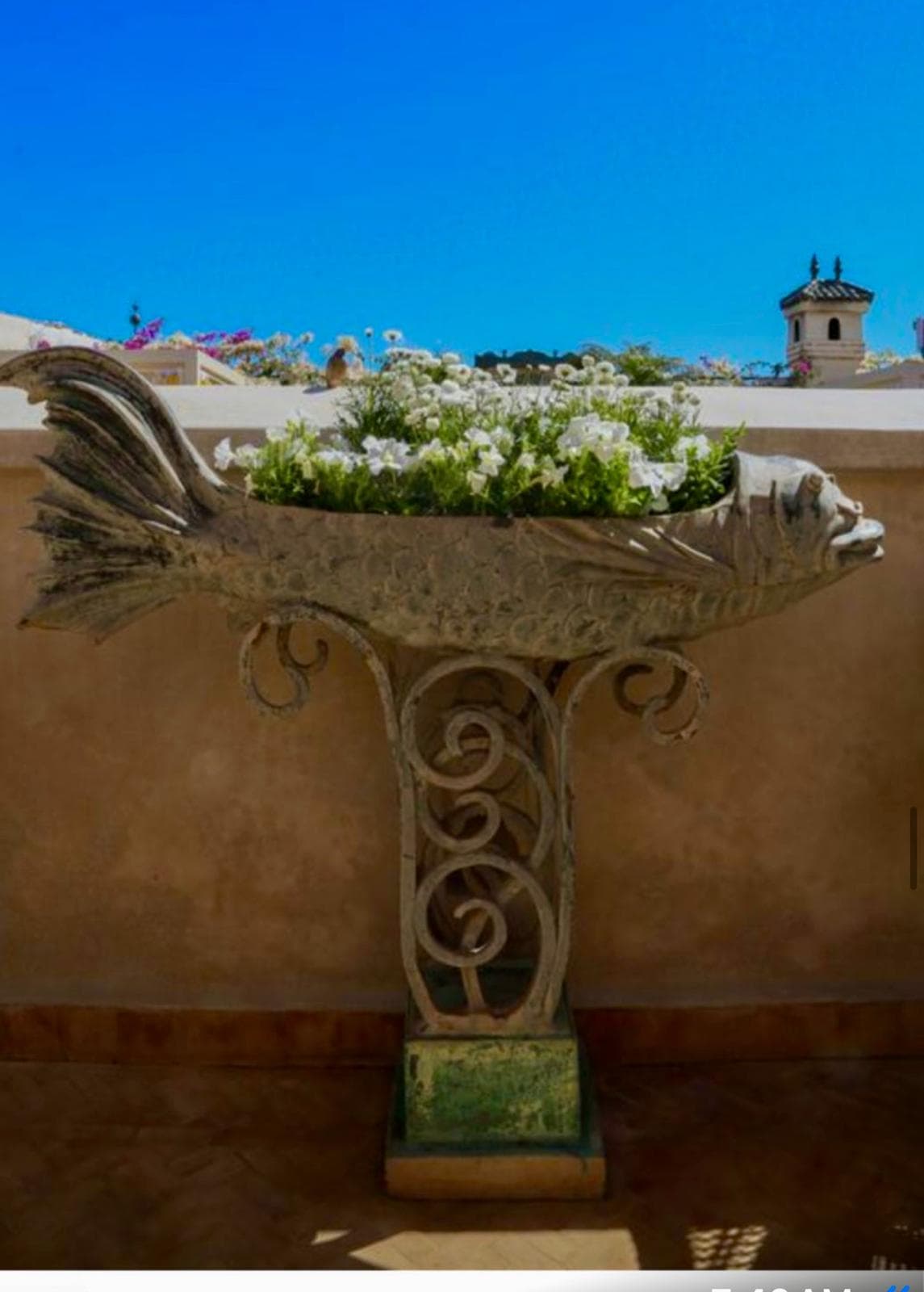 Sculpted fish planter on the terrace