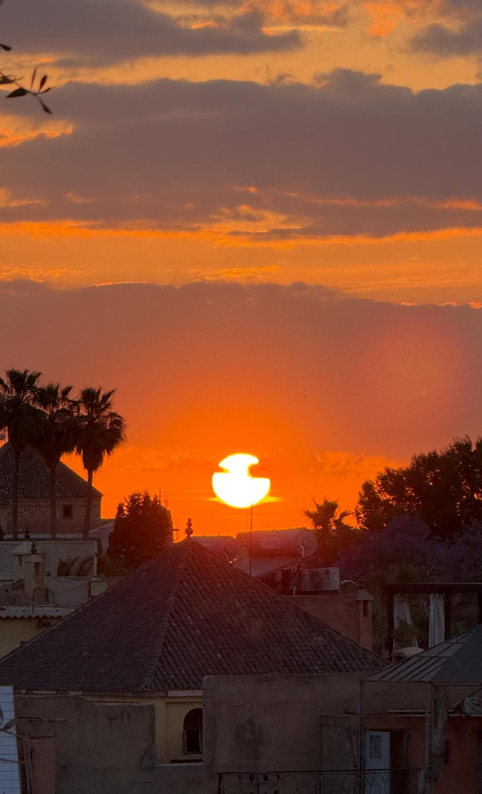 Crimson sunset over Marrakech palms